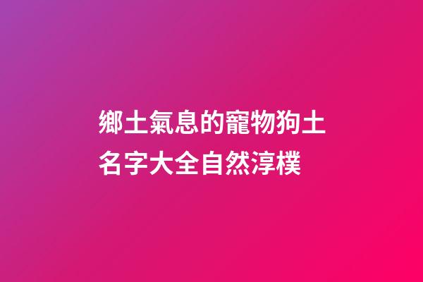 鄉土氣息的寵物狗土名字大全自然淳樸