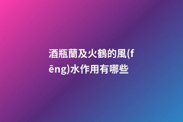 酒瓶蘭及火鶴的風(fēng)水作用有哪些?