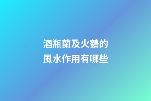 酒瓶蘭及火鶴的風水作用有哪些?