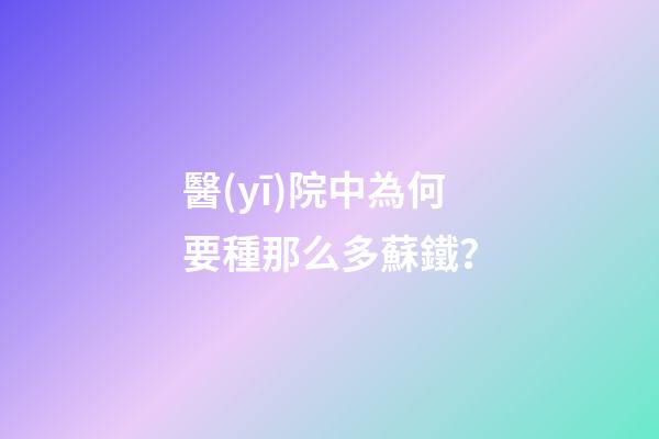 醫(yī)院中為何要種那么多蘇鐵？