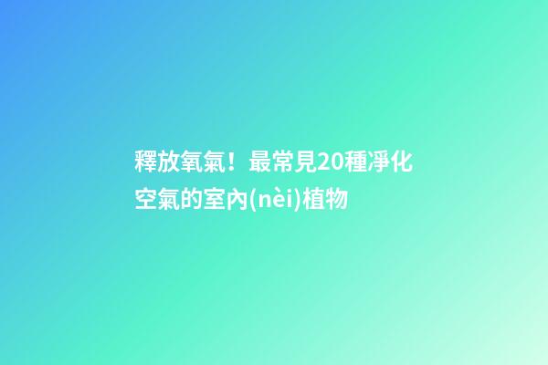 釋放氧氣！最常見20種凈化空氣的室內(nèi)植物