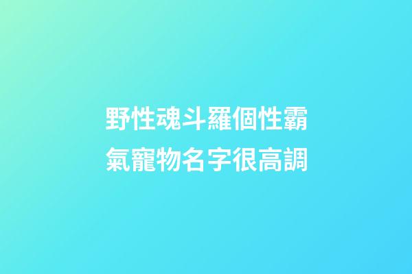 野性魂斗羅個性霸氣寵物名字很高調