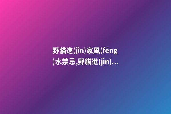 野貓進(jìn)家風(fēng)水禁忌,野貓進(jìn)門產(chǎn)子預(yù)示什么