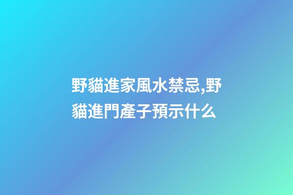 野貓進家風水禁忌,野貓進門產子預示什么