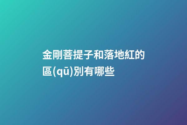 金剛菩提子和落地紅的區(qū)別有哪些