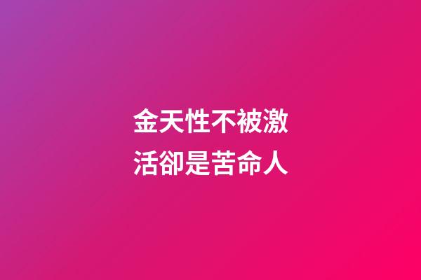 金天性不被激活卻是苦命人