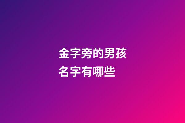 金字旁的男孩名字有哪些