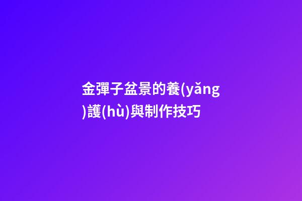 金彈子盆景的養(yǎng)護(hù)與制作技巧