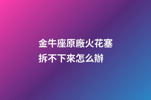 金牛座原廠火花塞拆不下來怎么辦-第1張-星座運勢-玄機派