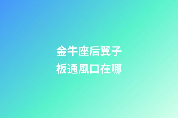 金牛座后翼子板通風口在哪-第1張-星座運勢-玄機派