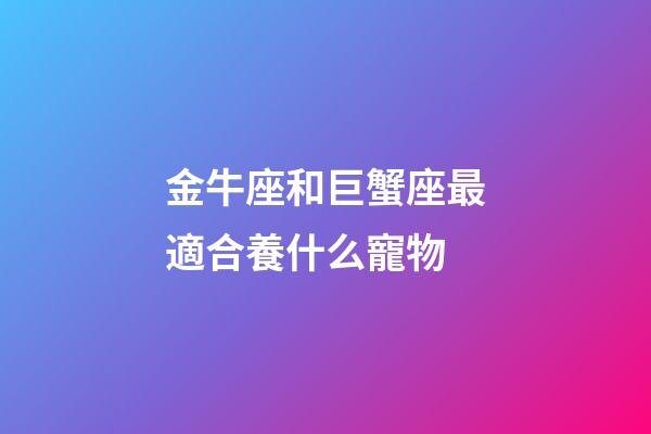 金牛座和巨蟹座最適合養什么寵物-第1張-星座運勢-玄機派