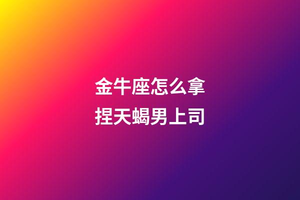 金牛座怎么拿捏天蝎男上司-第1張-星座運勢-玄機派