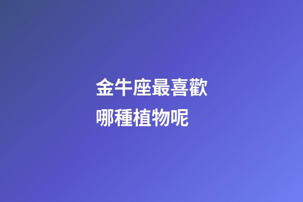 金牛座最喜歡哪種植物呢-第1張-星座運勢-玄機派