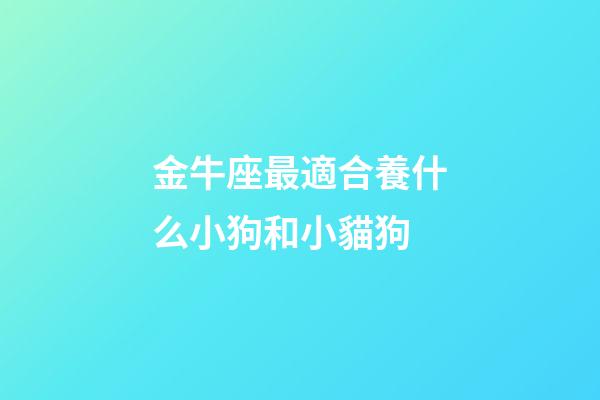 金牛座最適合養什么小狗和小貓狗-第1張-星座運勢-玄機派
