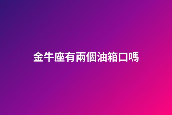 金牛座有兩個油箱口嗎