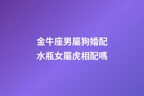金牛座男屬狗婚配水瓶女屬虎相配嗎-第1張-星座運勢-玄機(jī)派