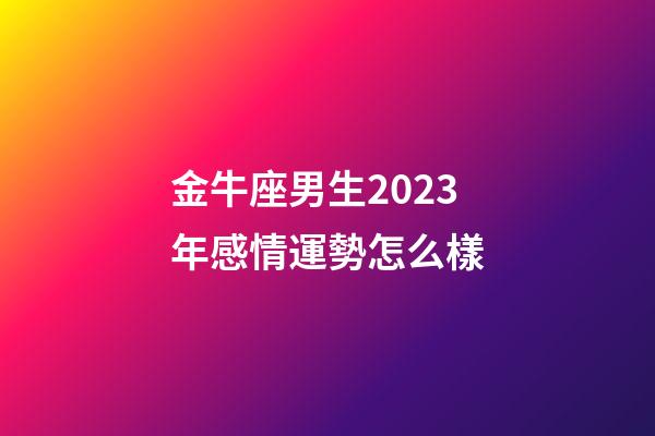 金牛座男生2023年感情運勢怎么樣-第1張-星座運勢-玄機派