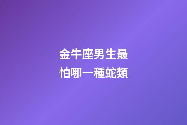 金牛座男生最怕哪一種蛇類-第1張-星座運(yùn)勢(shì)-玄機(jī)派