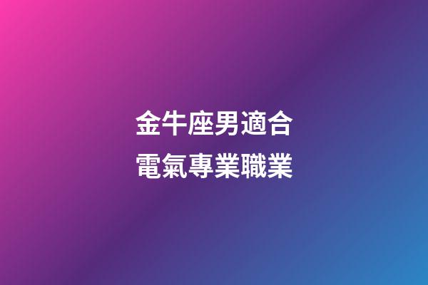 金牛座男適合電氣專業職業-第1張-星座運勢-玄機派