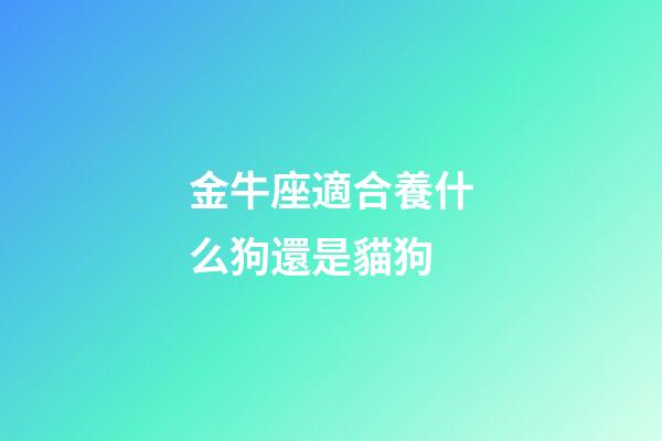 金牛座適合養什么狗還是貓狗-第1張-星座運勢-玄機派