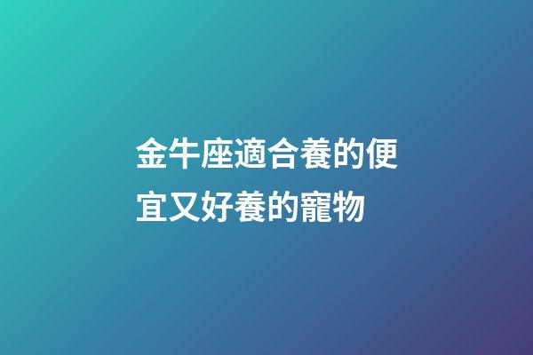 金牛座適合養的便宜又好養的寵物-第1張-星座運勢-玄機派