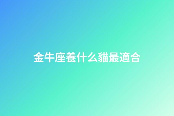 金牛座養什么貓最適合-第1張-星座運勢-玄機派