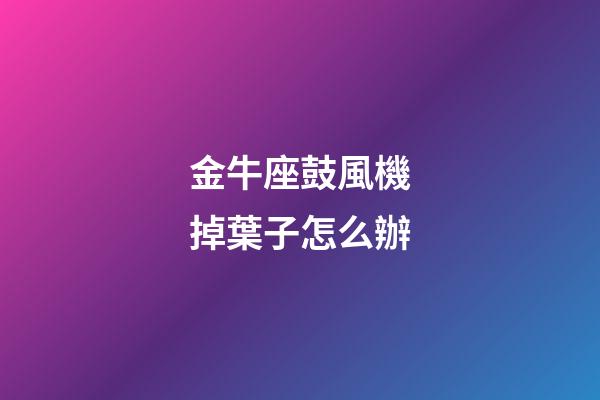 金牛座鼓風機掉葉子怎么辦-第1張-星座運勢-玄機派