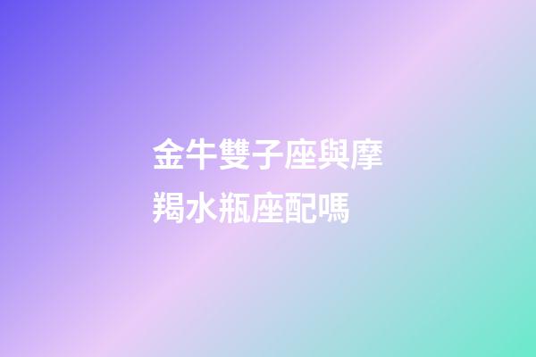 金牛雙子座與摩羯水瓶座配嗎-第1張-星座運勢-玄機派