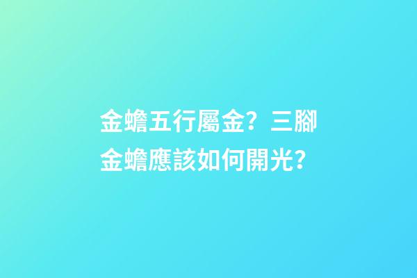 金蟾五行屬金？三腳金蟾應該如何開光？