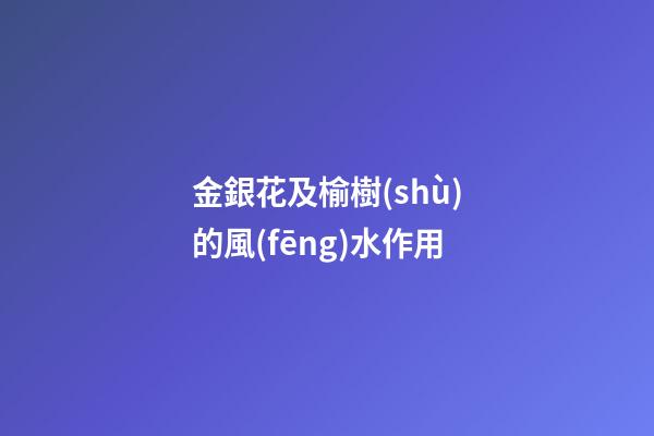 金銀花及榆樹(shù)的風(fēng)水作用
