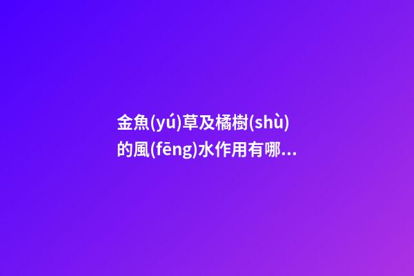 金魚(yú)草及橘樹(shù)的風(fēng)水作用有哪些?