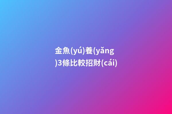 金魚(yú)養(yǎng)3條比較招財(cái)