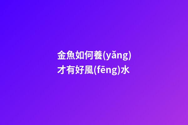 金魚如何養(yǎng)才有好風(fēng)水