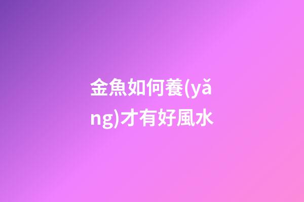 金魚如何養(yǎng)才有好風水