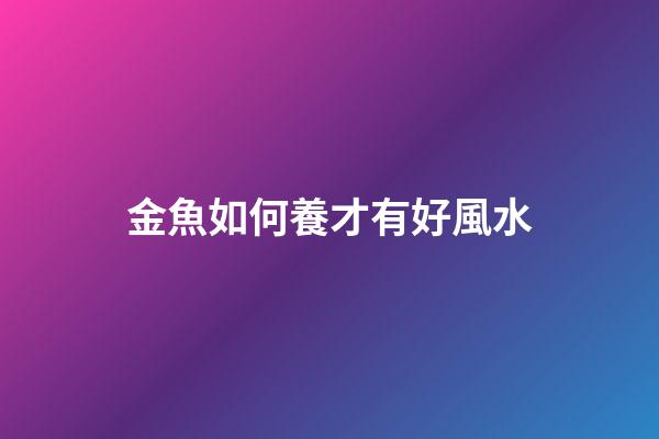 金魚如何養才有好風水