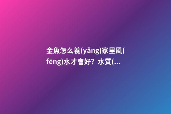 金魚怎么養(yǎng)家里風(fēng)水才會好？水質(zhì)是關(guān)鍵！