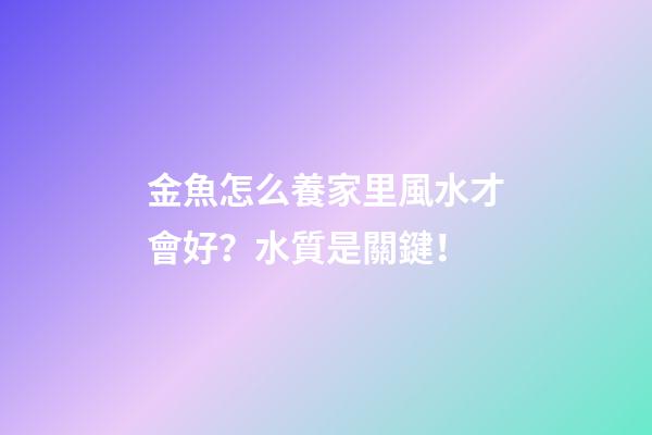 金魚怎么養家里風水才會好？水質是關鍵！