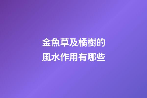 金魚草及橘樹的風水作用有哪些?