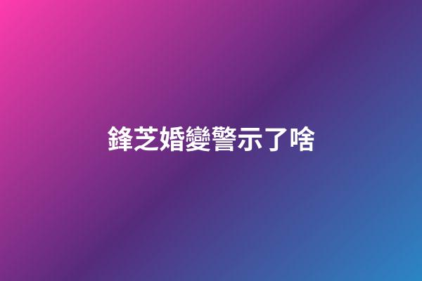 鋒芝婚變警示了啥