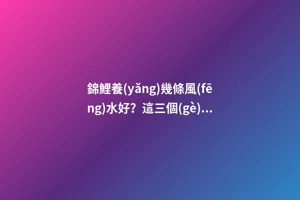 錦鯉養(yǎng)幾條風(fēng)水好？這三個(gè)說法要記好了！