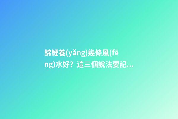 錦鯉養(yǎng)幾條風(fēng)水好？這三個說法要記好了！