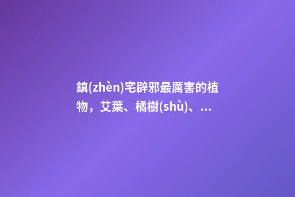 鎮(zhèn)宅辟邪最厲害的植物，艾葉、橘樹(shù)、桃樹(shù)等