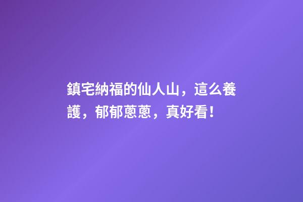 鎮宅納福的仙人山，這么養護，郁郁蔥蔥，真好看！