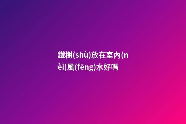 鐵樹(shù)放在室內(nèi)風(fēng)水好嗎