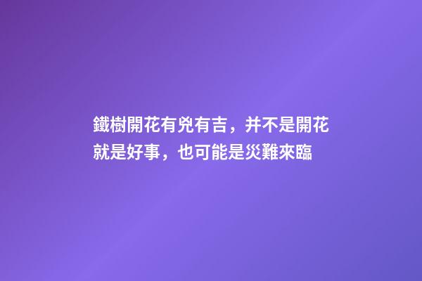 鐵樹開花有兇有吉，并不是開花就是好事，也可能是災難來臨