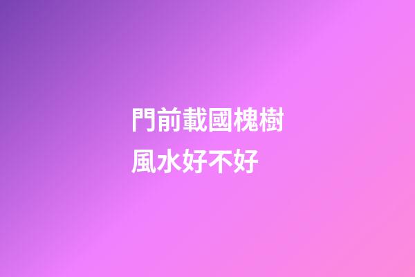 門前載國槐樹風水好不好