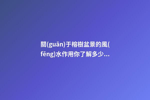 關(guān)于榕樹盆景的風(fēng)水作用你了解多少？