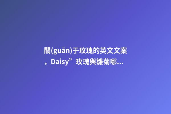 關(guān)于玫瑰的英文文案，Daisy”玫瑰與雛菊哪個是在夸美人-第1張-觀點-玄機派
