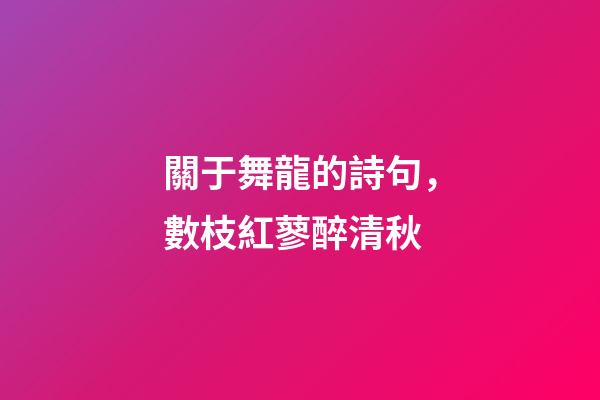 關于舞龍的詩句，數枝紅蓼醉清秋-第1張-觀點-玄機派