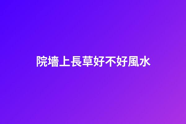 院墻上長草好不好風水